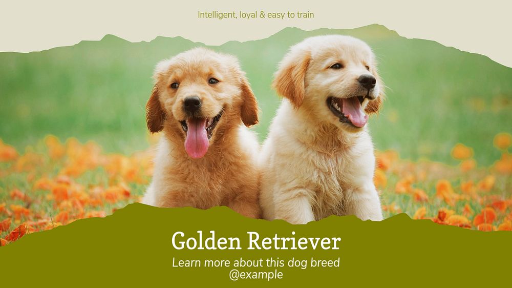 Golden Retriever blog banner template, editable text