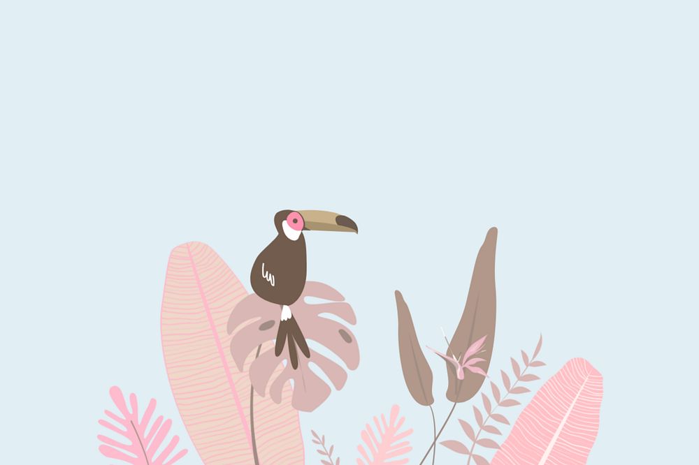 Pink pastel toucan border background, editable blue design