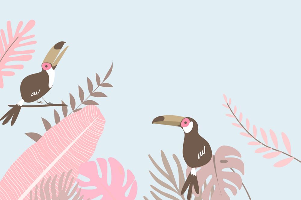 Pink pastel toucan border background, editable blue design