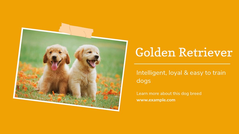 Golden Retriever blog banner template, editable text