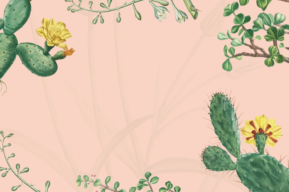 Tropical cactus floral background, vintage botanical border, editable design