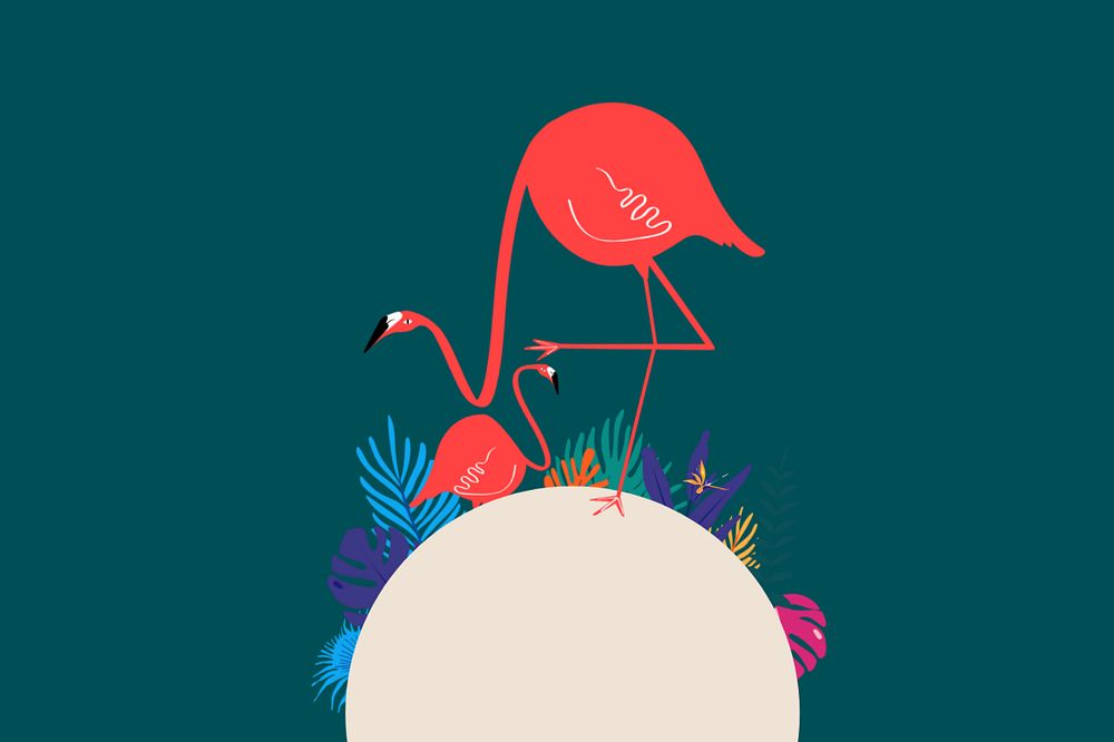 Colorful tropical flamingo border background, editable green design