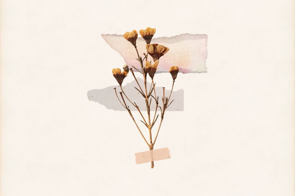 Aesthetic dried flower taped, editable design