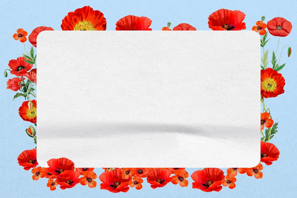 Red poppy frame, Summer flower editable design