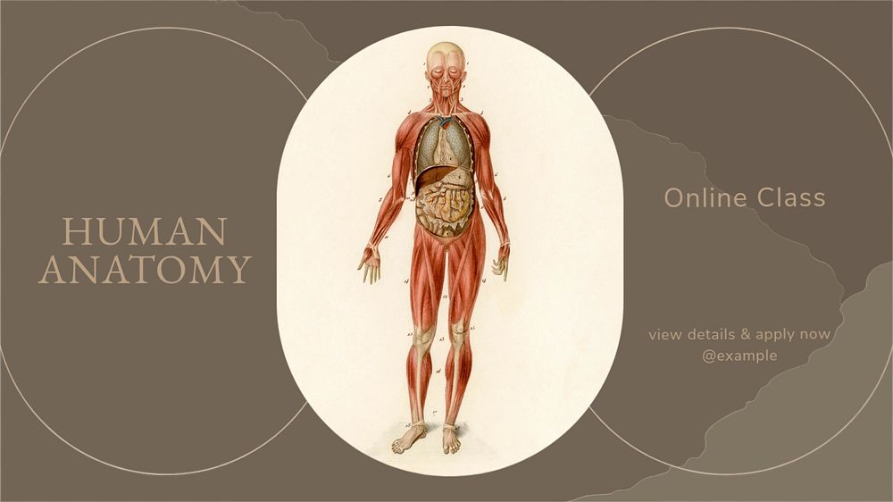 Human anatomy blog banner template, editable text