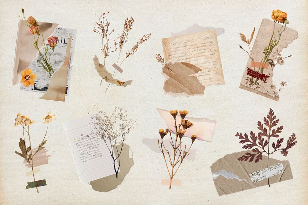 Aesthetic torn paper collage flower collection, editable design