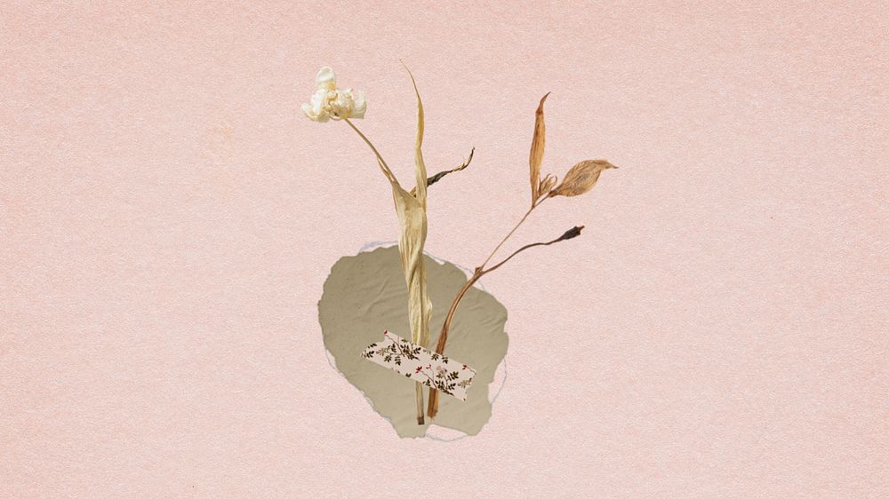 Desktop wallpaper aesthetic taped dried flower, pink background