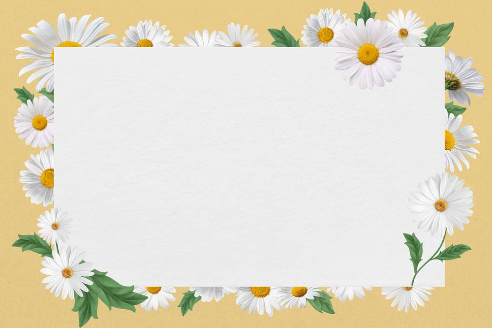 White daisy frame, Spring flower editable design