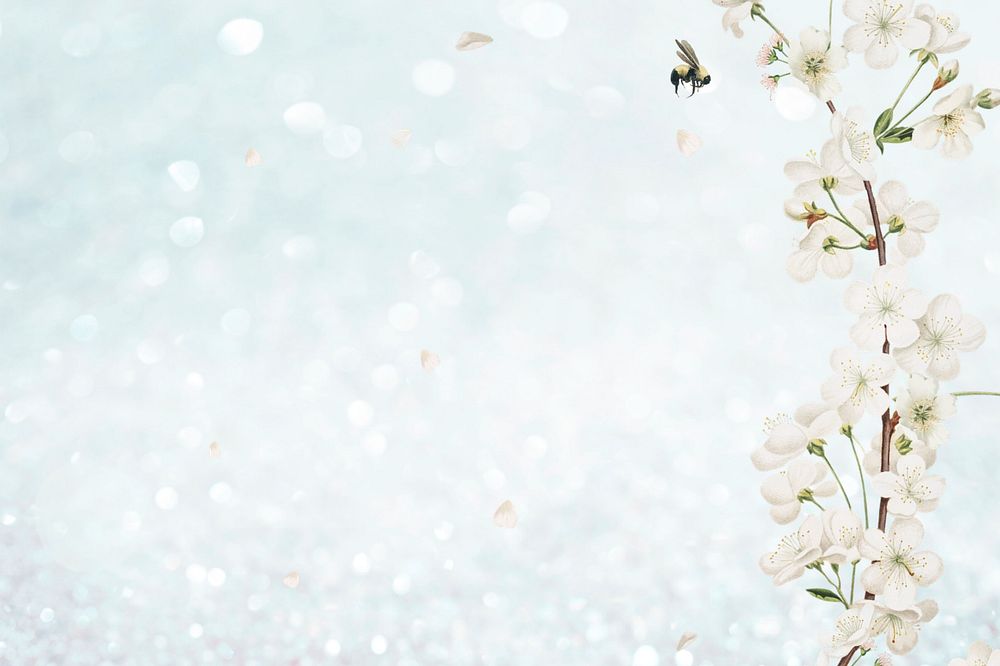 White flowers illustration, beautiful background, editable design