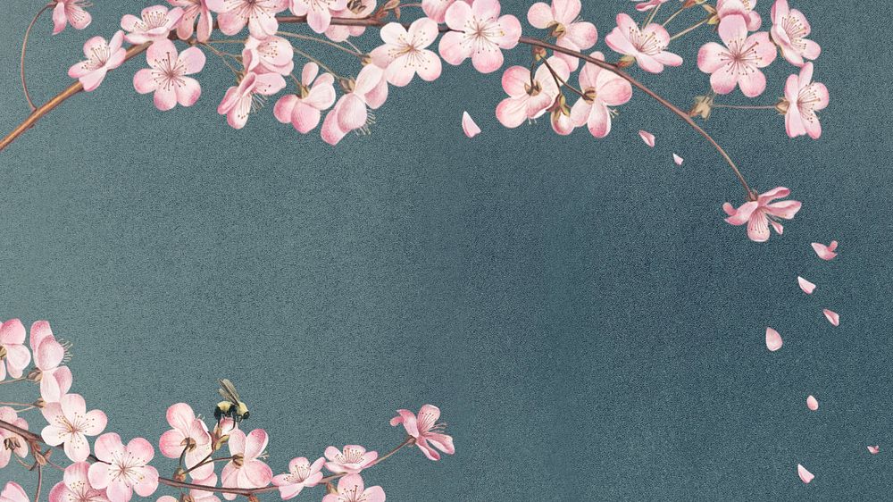 Cherry blossom, vintage desktop wallpaper, editable design