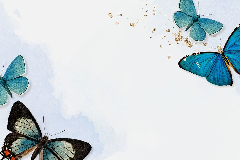 Blue butterfly border, watercolor background