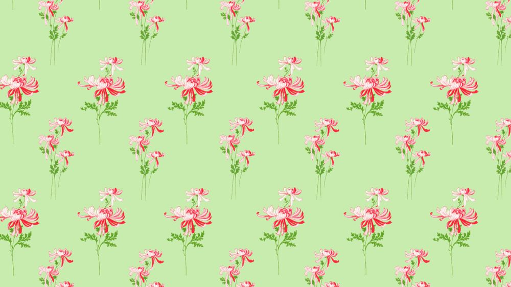 Pink chrysanthemum pattern desktop wallpaper, green background