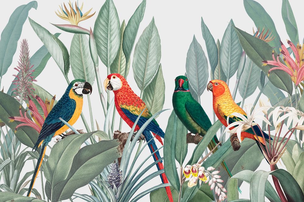 Colorful parrots illustration background, editable design