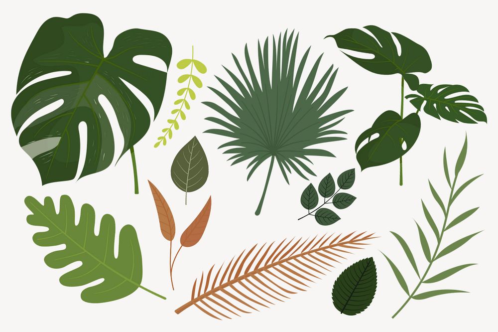 Leaf illustration collage element set editable design