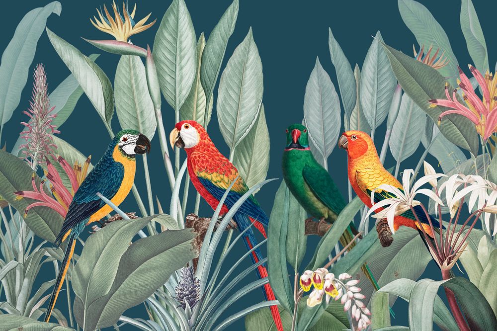 Colorful parrots illustration, tropical background, editable design