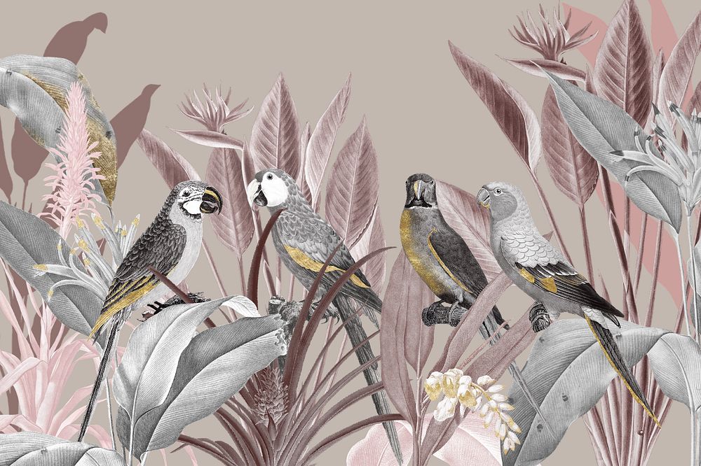 Vintage parrots illustration background, editable design