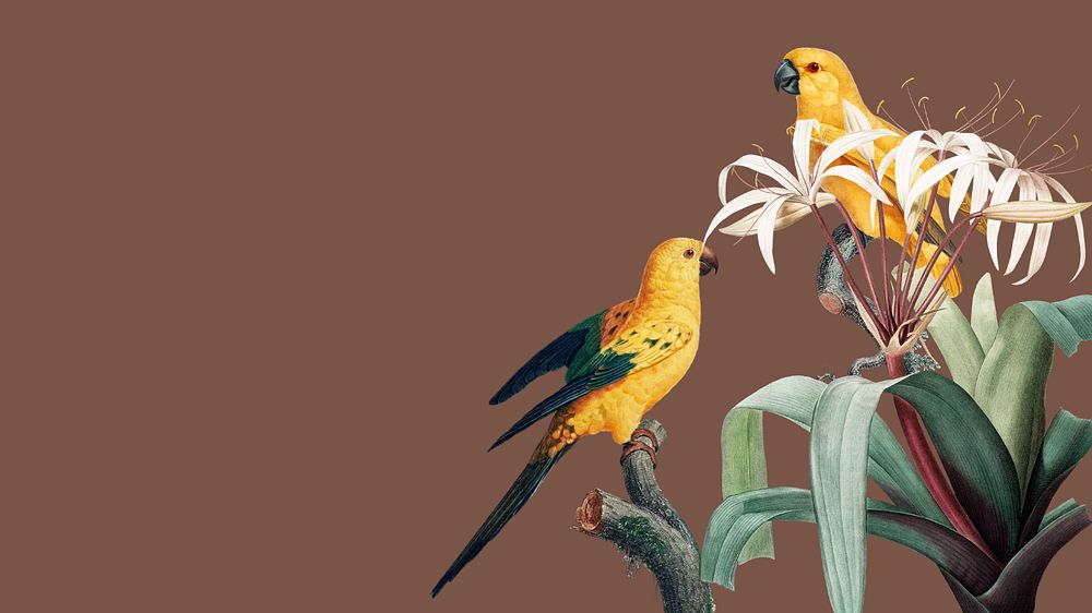 Yellow birds, brown desktop wallpaper, editable design