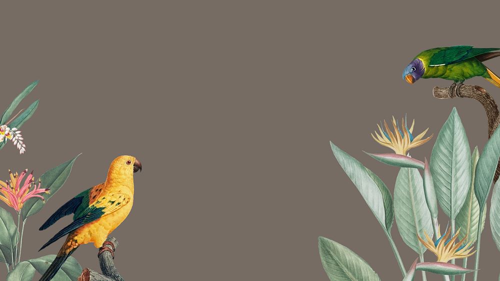 Vintage birds, brown desktop wallpaper, editable design