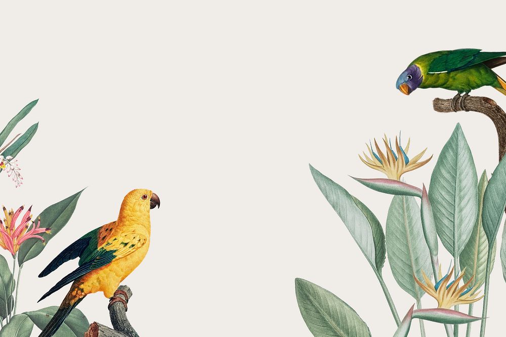 Colorful birds illustration, tropical background, editable design