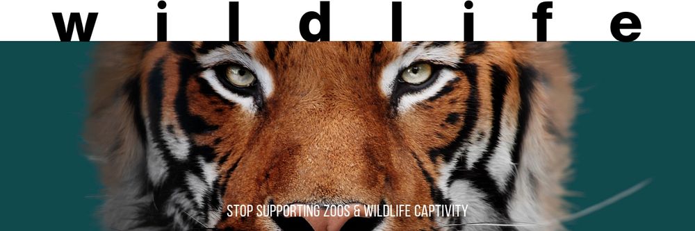 Stop supporting zoo  Twitter header template, editable text