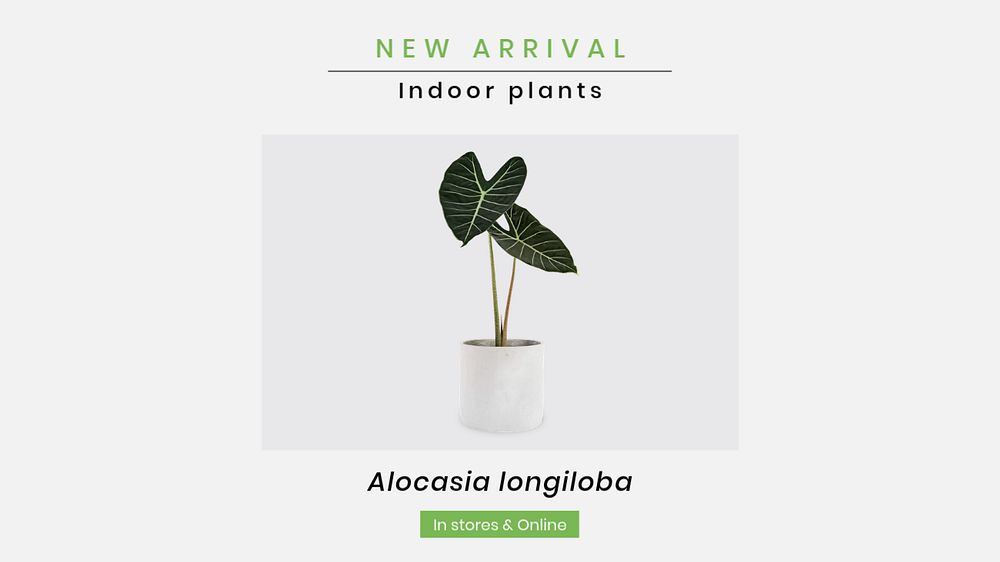 Indoor plant blog banner template, editable online shop design