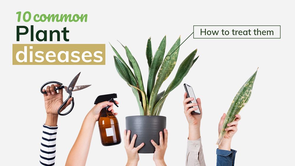 Plant diseases blog banner template, editable design