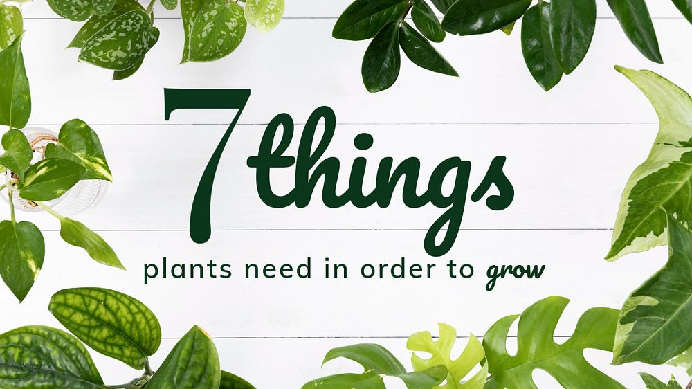 Growing plant blog banner template, editable design