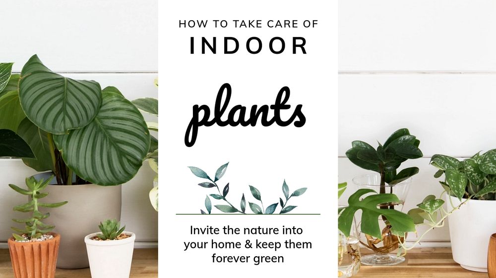 Plant parent blog banner template, editable design