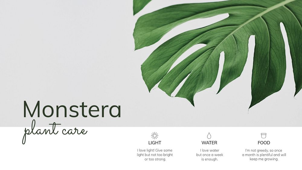 Plant care blog banner template, editable design