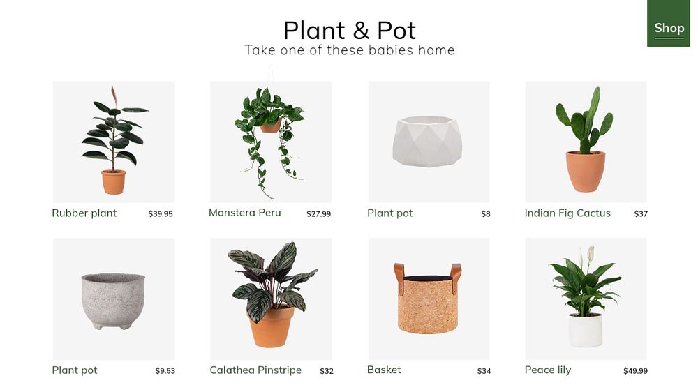 Plant store Facebook cover template, editable design