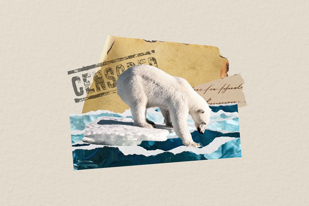 Polar bear ephemera, climate change illustration, editable design