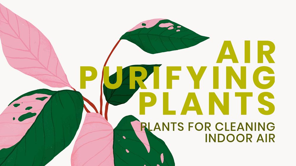 Plant Facebook cover template, editable design