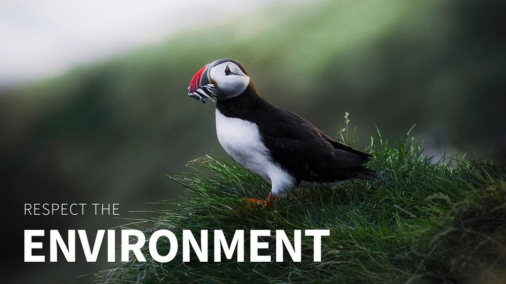 Respect the environment template, puffin in nature background