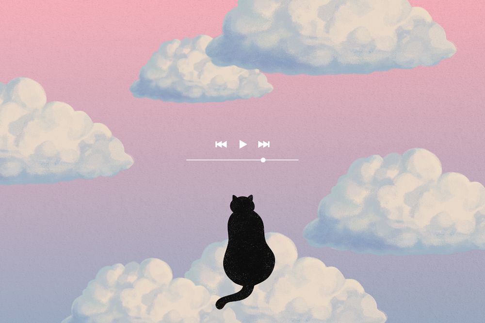 Aesthetic sky playlist, cat background