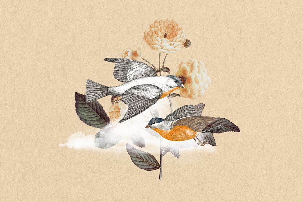 Vintage bird background, beige animal remix