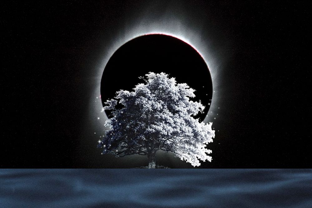 Moon eclipse dark background, tree design