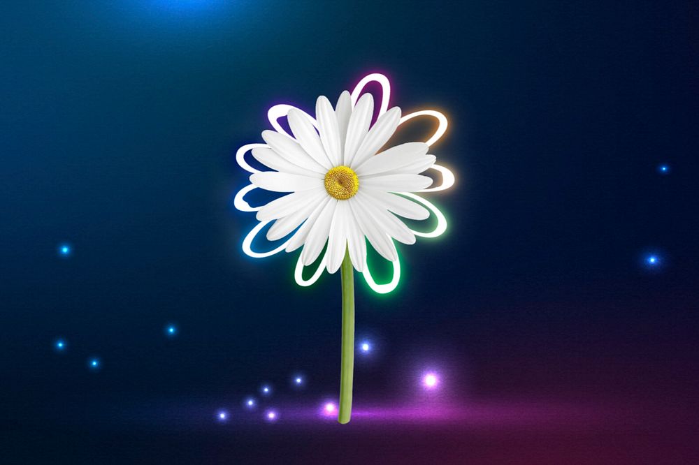 Neon daisy flower background, dark blue background