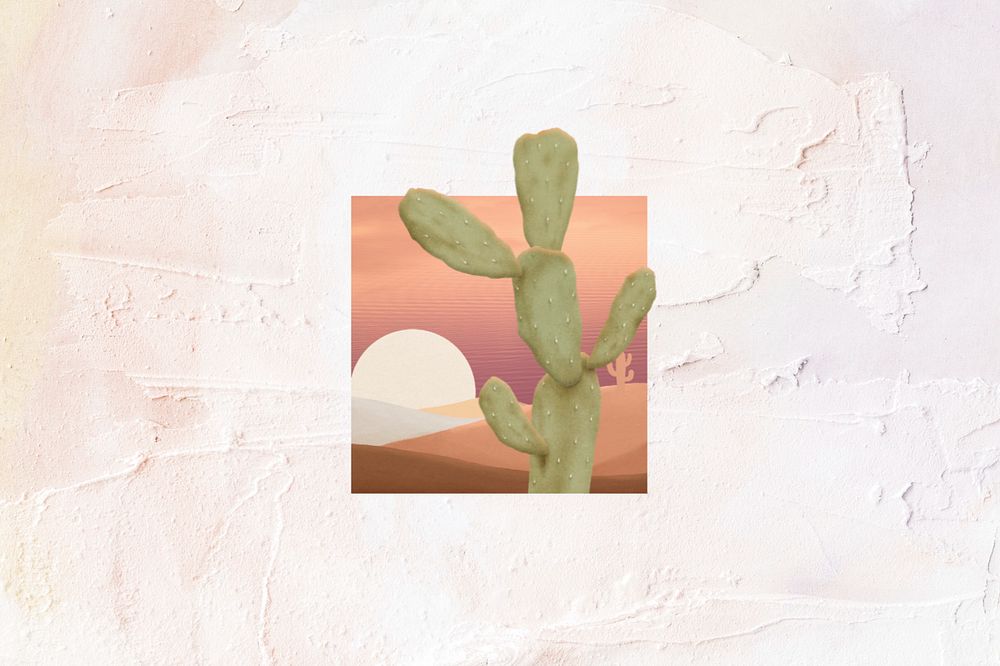 Aesthetic cactus background, desert plant