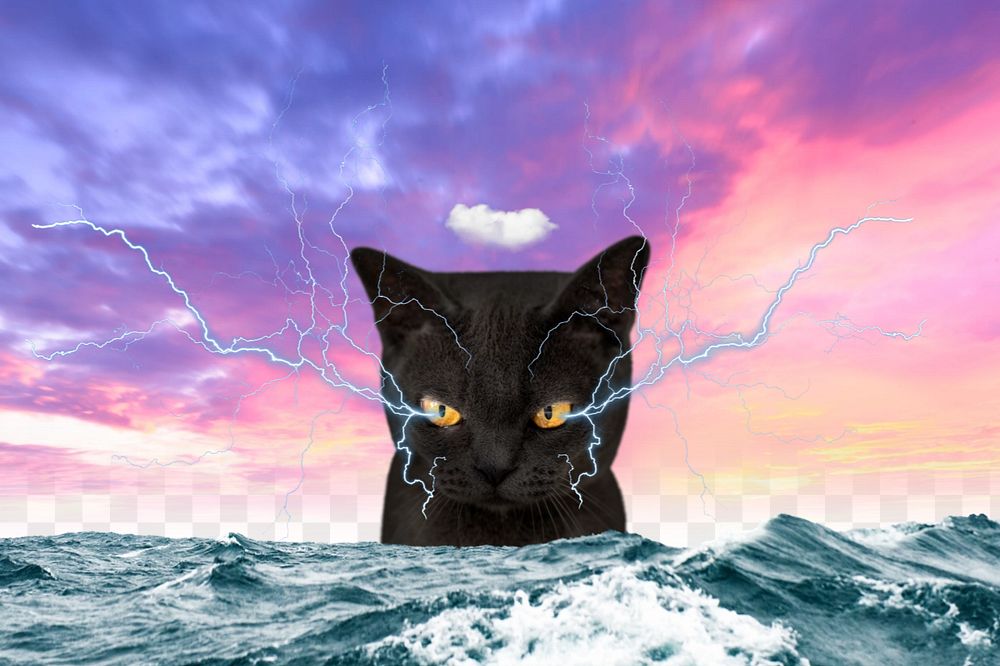 Grumpy cat background, surreal ocean remix