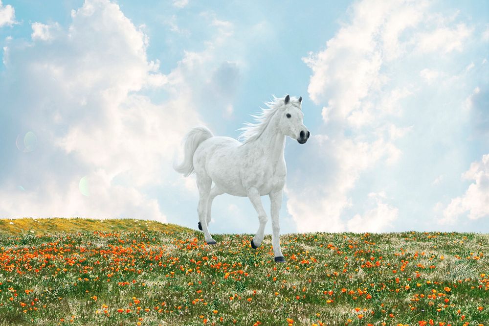 Horse aesthetic background, dreamy grass field