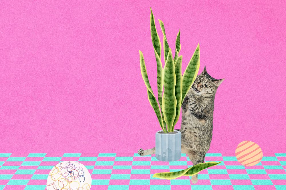 Cat ruining houseplant background, funny pet remix