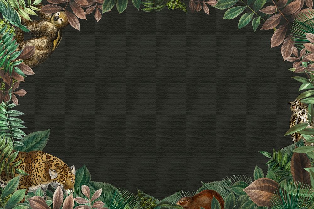 Exotic jungle frame background, editable design