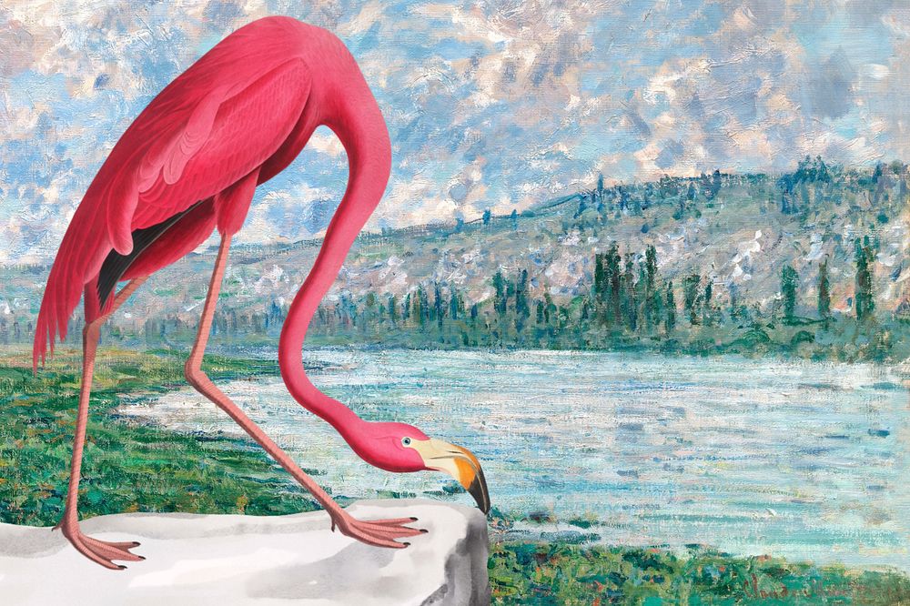 Aesthetic flamingo background, drawing design