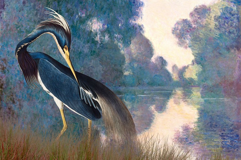 Louisiana Heron bird background, vintage animal illustration