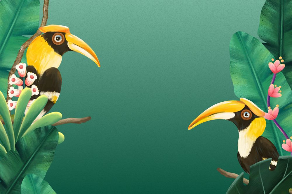 Hornbill bird border background, green design