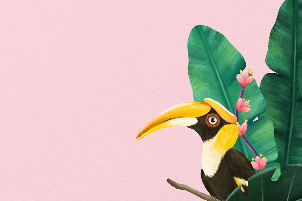 Hornbill bird border background, pink design