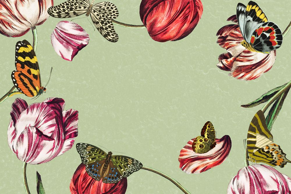 Tulip frame, green background, editable vintage butterfly illustration