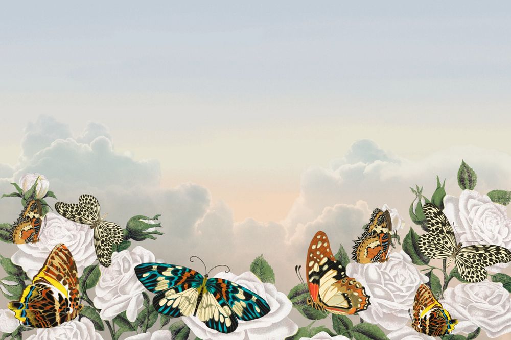 Aesthetic sky background, editable vintage butterfly border