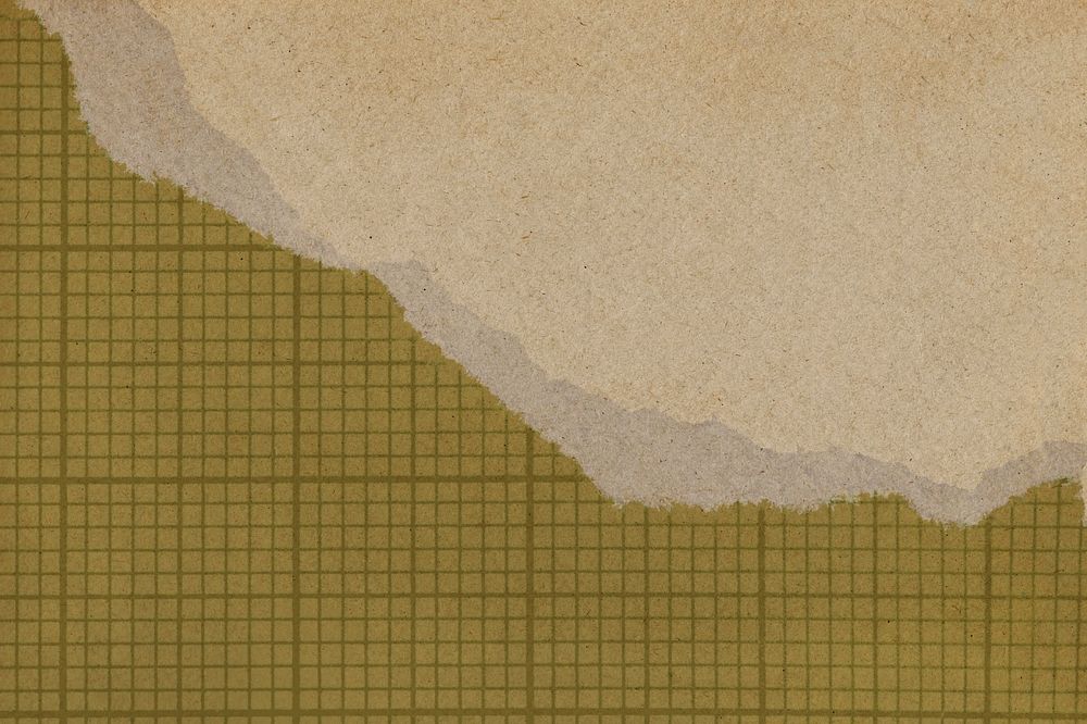 Beige paper texture background, editable green grid ripped border