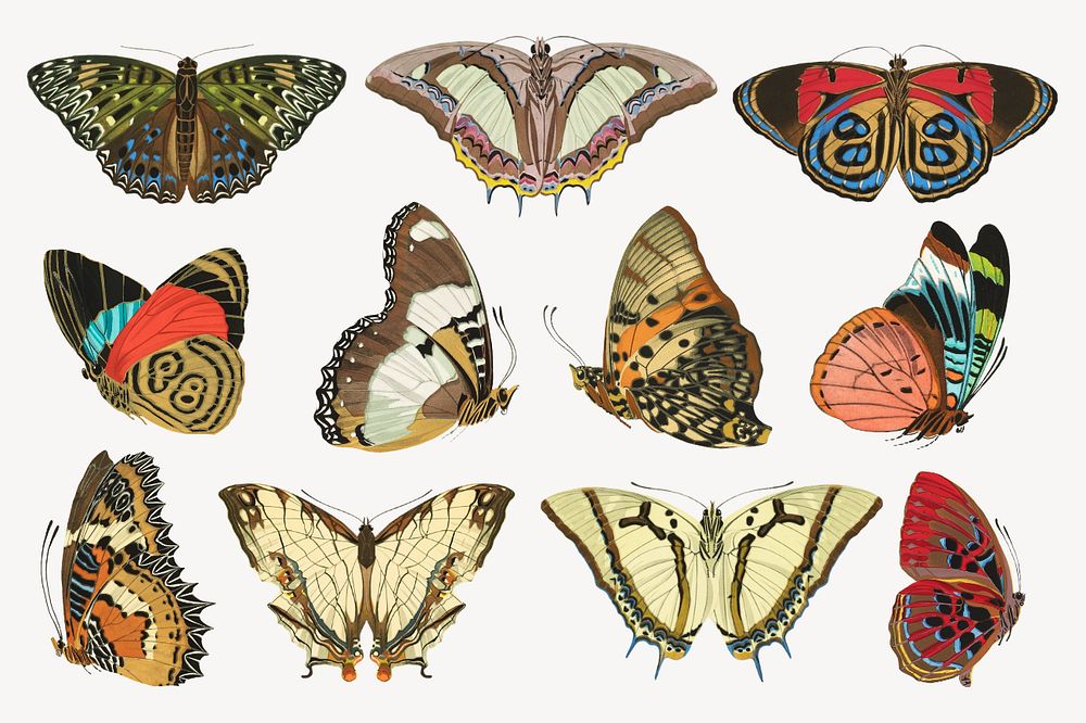 EA. Séguy’s butterfly set, editable vintage design, remixed by rawpixel